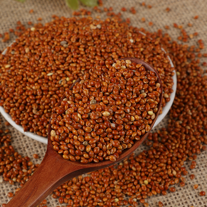 厂家直销粮食填枕头黍子农家自产五谷杂粮批发散装粗粮填坐垫蒙稷