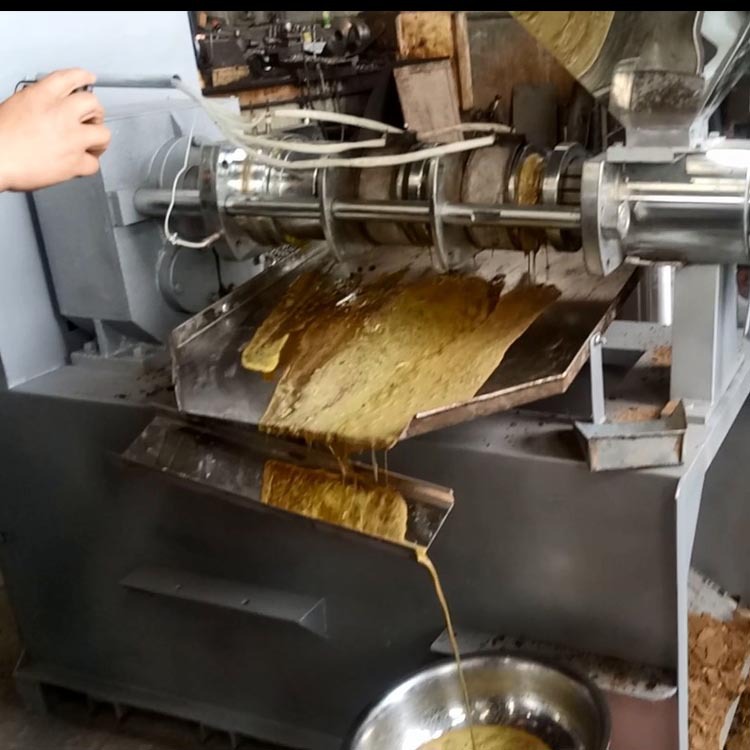 小型茶油榨油机 全自动榨虑一体机 商用茶油液压榨油设备 山茶油