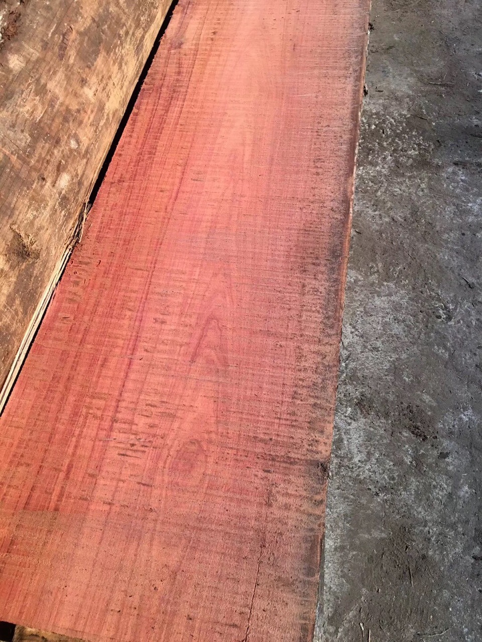 供应红椿木烘干板材 家装建材木板材适用于各种红木家具-阿里巴巴