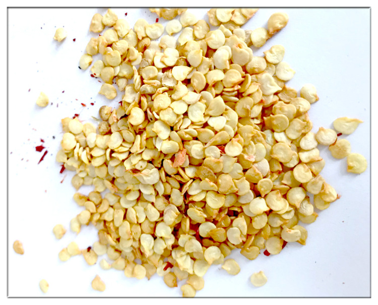 厂家销售 新疆甜椒籽 现货热销 甜椒籽辣椒籽 一级品质1000g