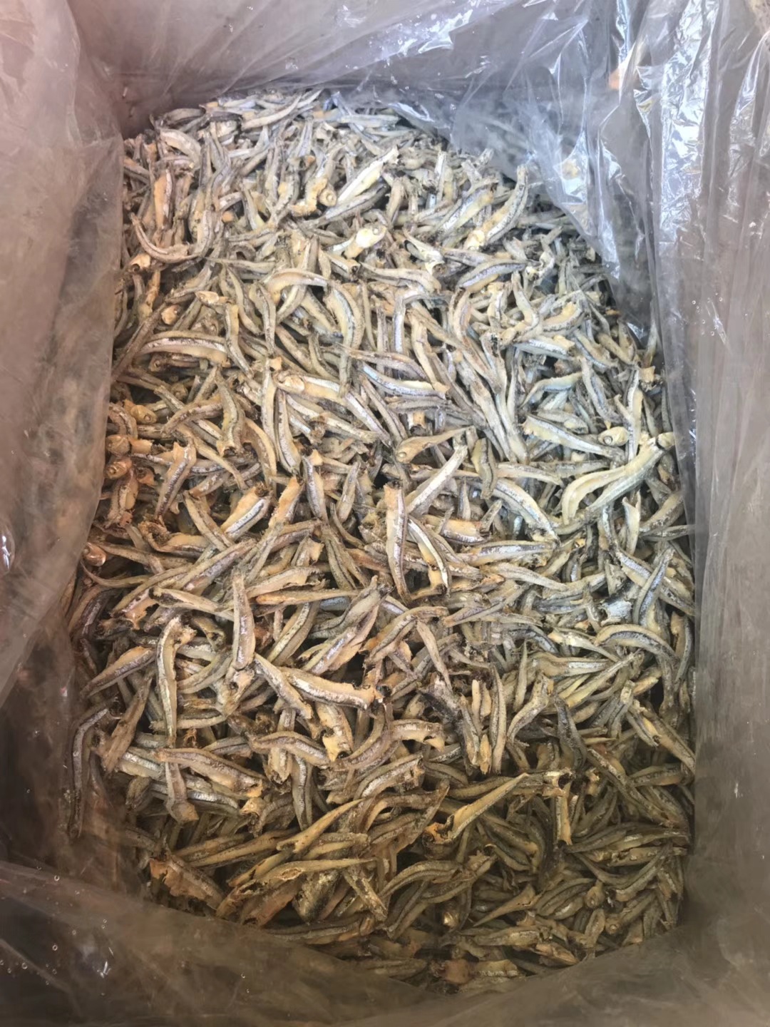 公鱼 公干鱼 鱼干 海鲜干货 鱼仔 海味干货 量大从优 水产干货