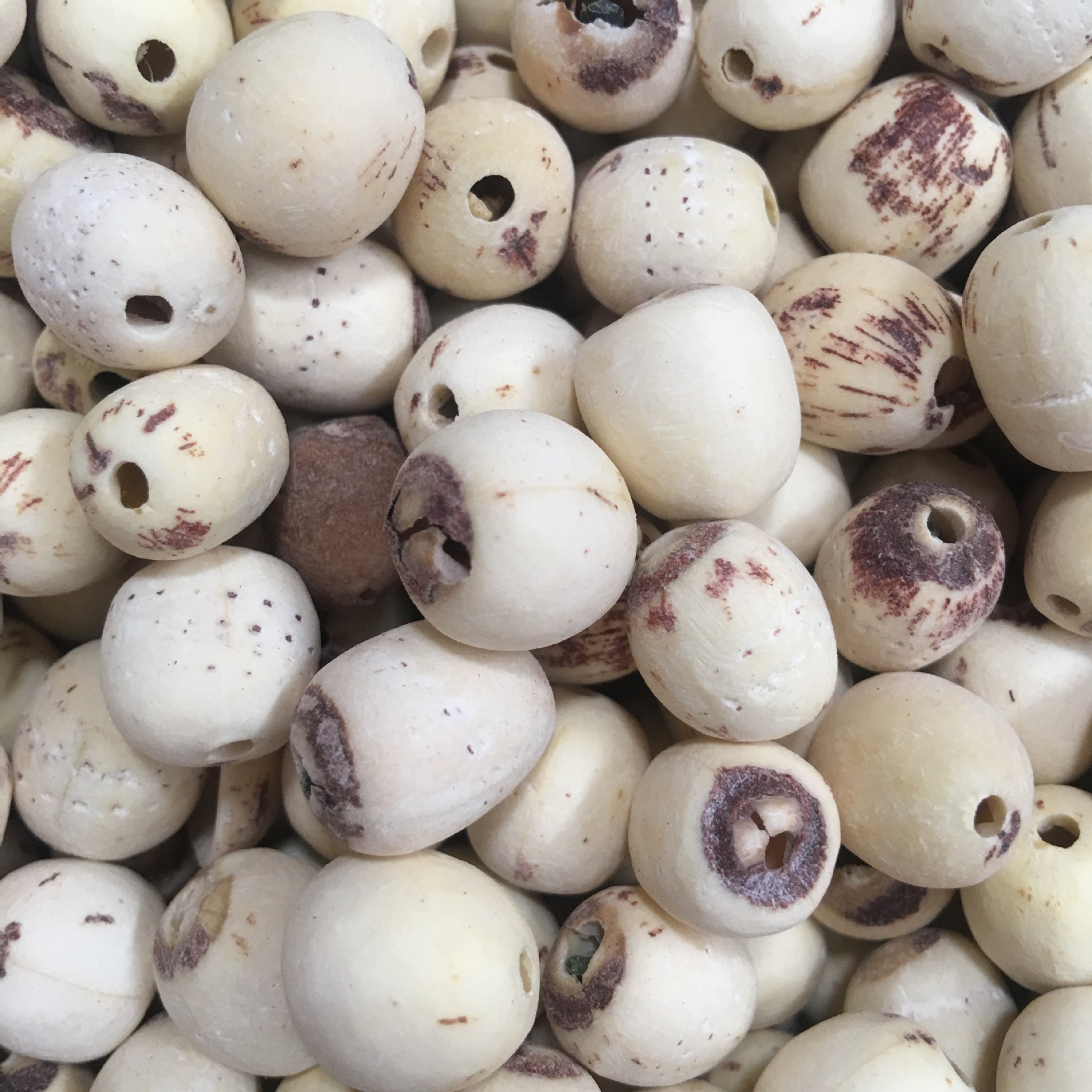 2018跑江湖新产品去芯莲米 磨皮精选莲子 白莲米 500克一袋