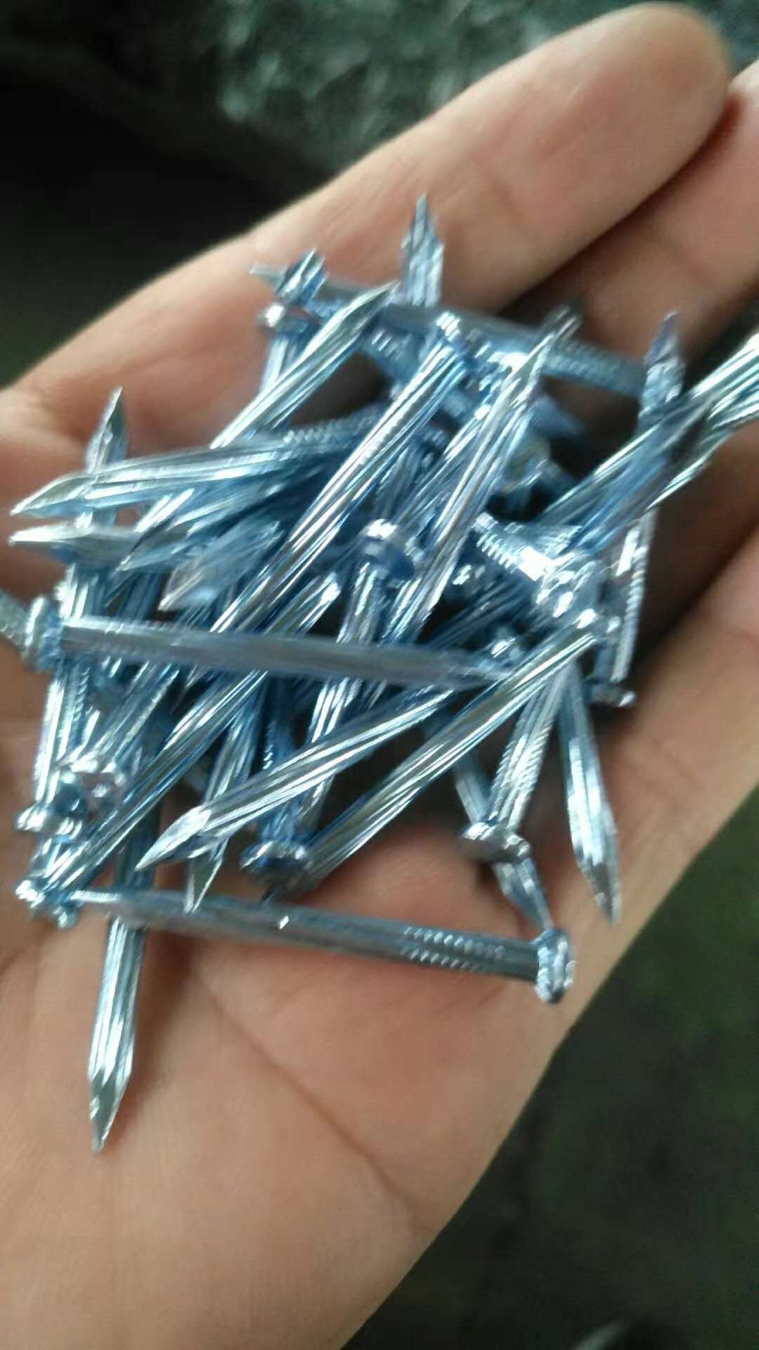 好强度电镀锌凹槽温钢钉,电镀锌螺旋纹钢钉