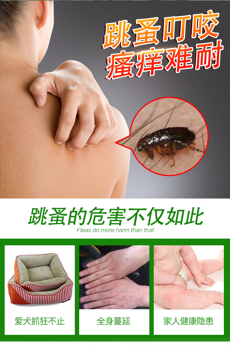 跳蚤杀虫剂家用除跳蚤喷剂床上灭跳骚神器狗狗去虱子药一件代发