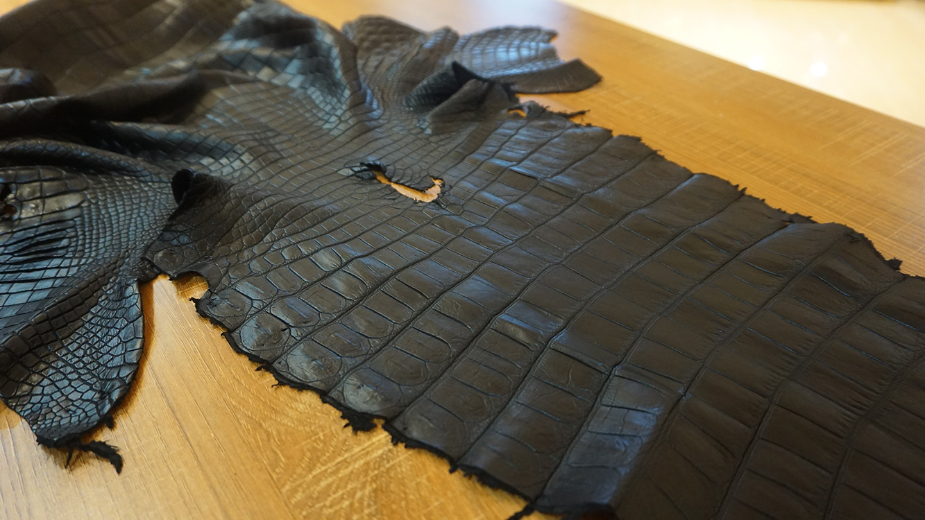 【与龙共舞】进口尼罗鳄特a级鳄鱼皮料皮革原材料水染服装革批发