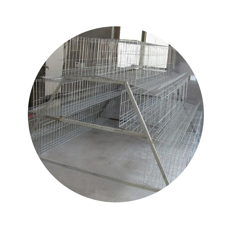 蛋鸡笼组合阶梯式双边6层鸡笼养殖场专用鸡笼子4位铁丝笼家用鸡笼