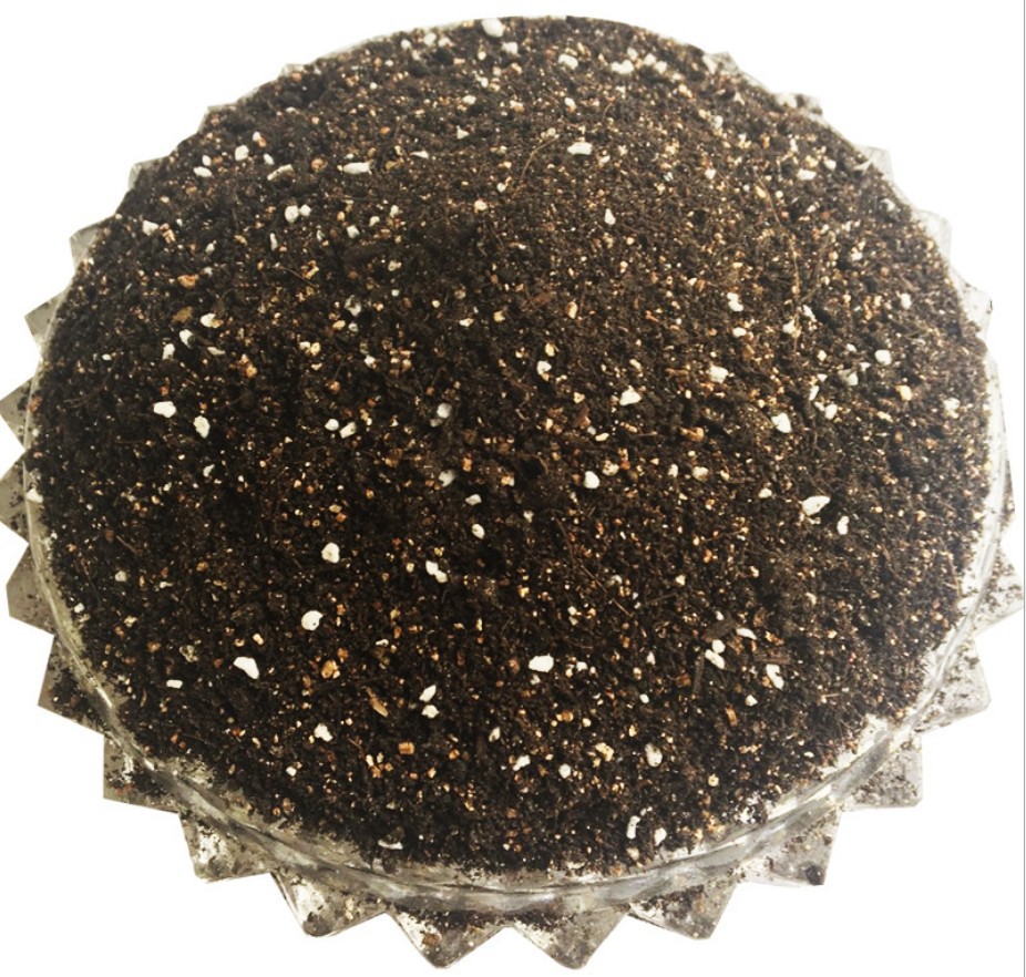 花卉基质营养土育苗基质栽培基质阳台蔬菜花卉用土泥炭土蔬菜育苗