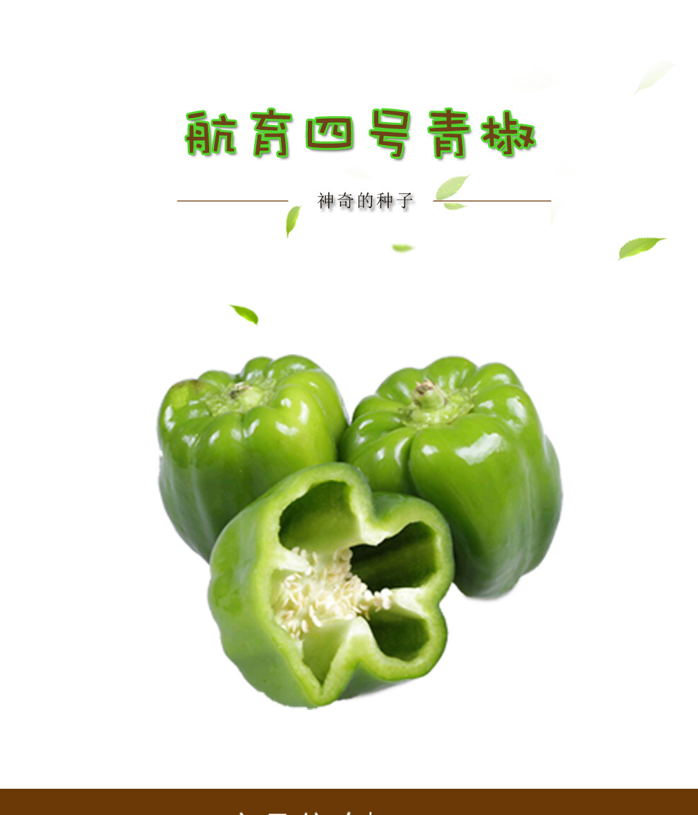 航育四号青椒种子 高产早熟辣椒籽 高抗病菜椒柿子椒籽 商品性好