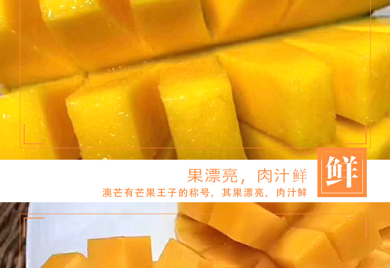 越南澳芒 澳芒 新鲜水果批发