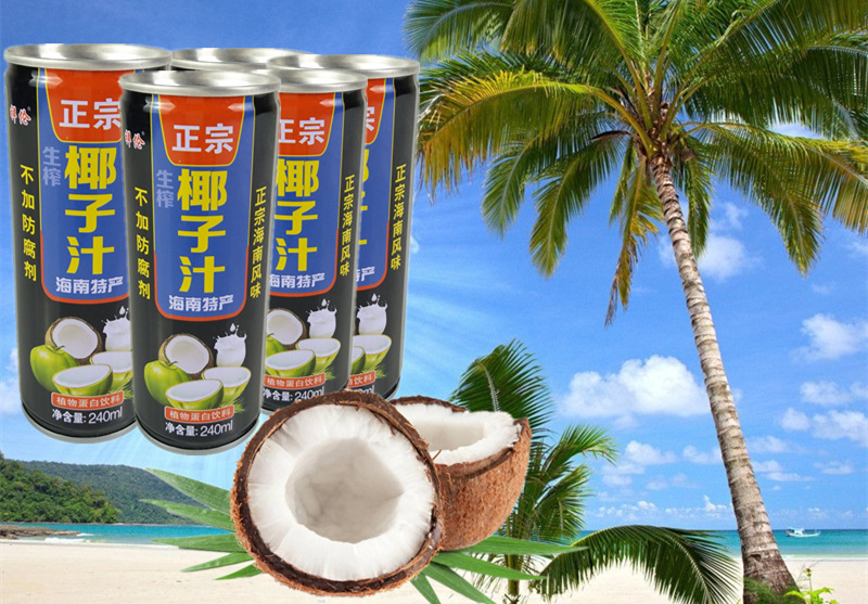 椰子汁整箱 易拉罐装 245ml 24罐 海南特产生榨椰子.