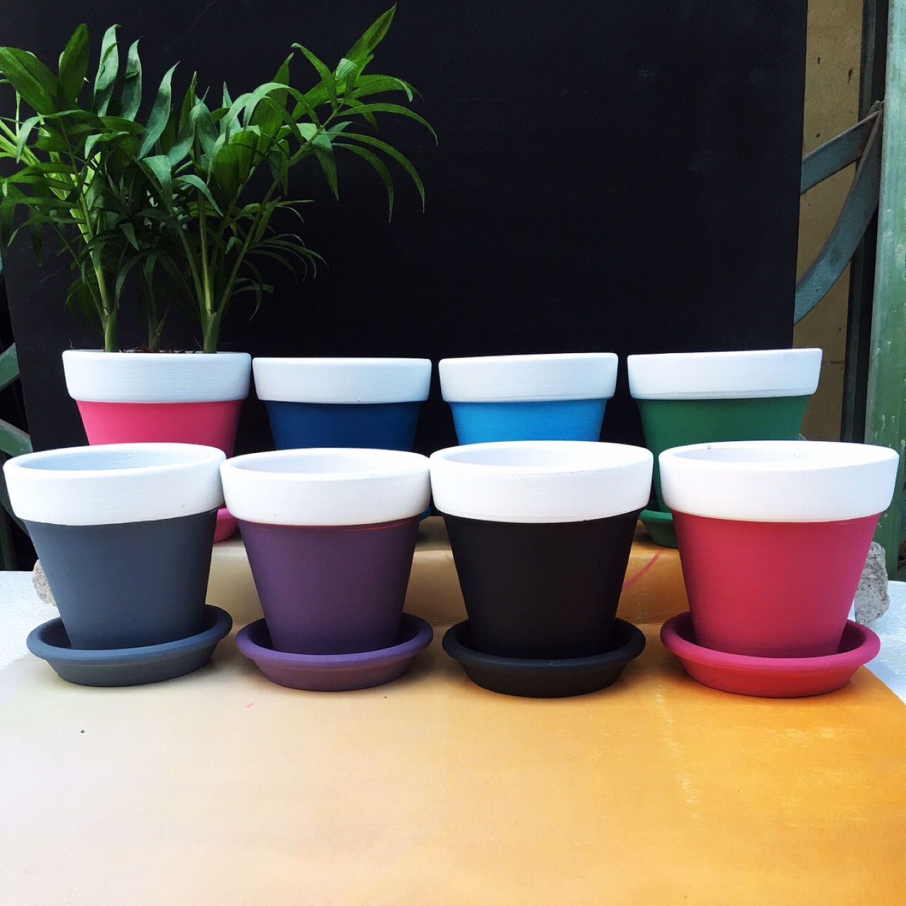 厂价直销批发陶瓷 马卡龙彩色红陶花盆多肉花盆