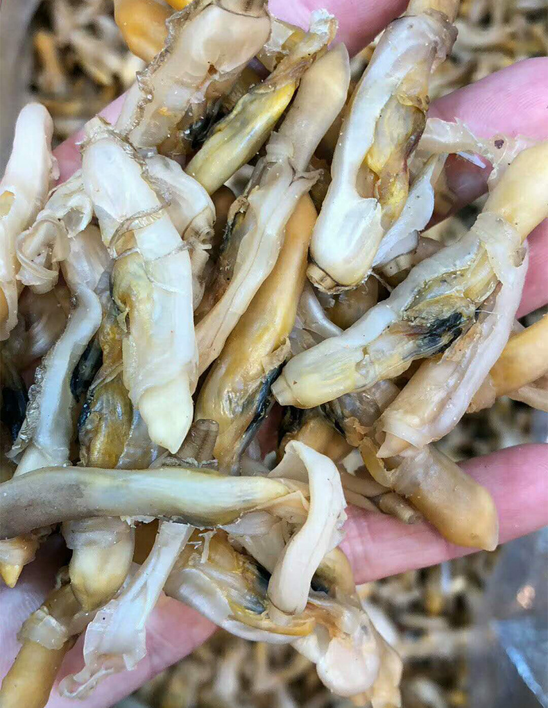蛏干连云港特产原味蛏子干 无沙蛏子 淡干生晒 肉质肥厚海鲜干货
