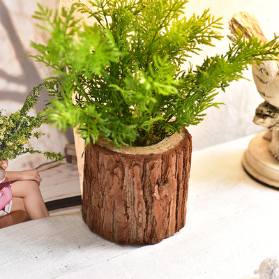 树桩装饰品_立体墙上植物挂饰仿真多肉3d背景家居创意 - 阿里巴巴