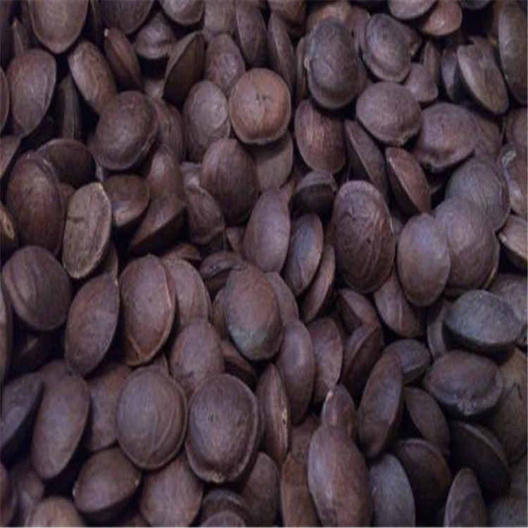 散装印加果种子南美油藤药材星油藤可以食用保健印奇果印加花生籽