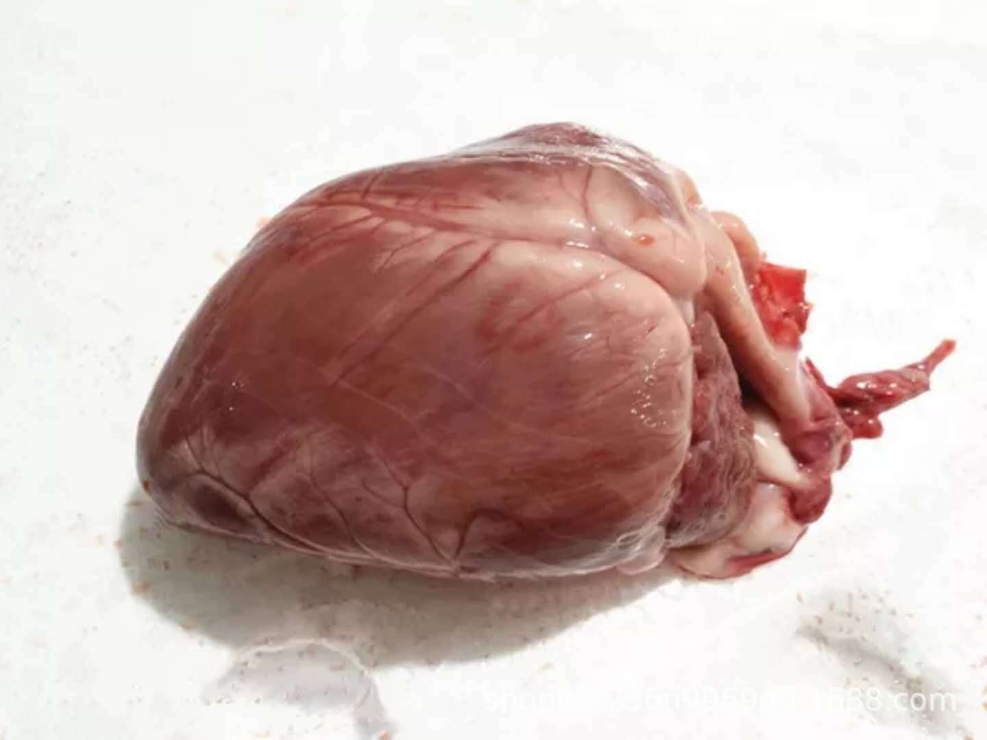 羊心 羊心肝 羊杂 羊心管 心脏 羊肉火锅 羊下水羔羊心脏 1箱50斤