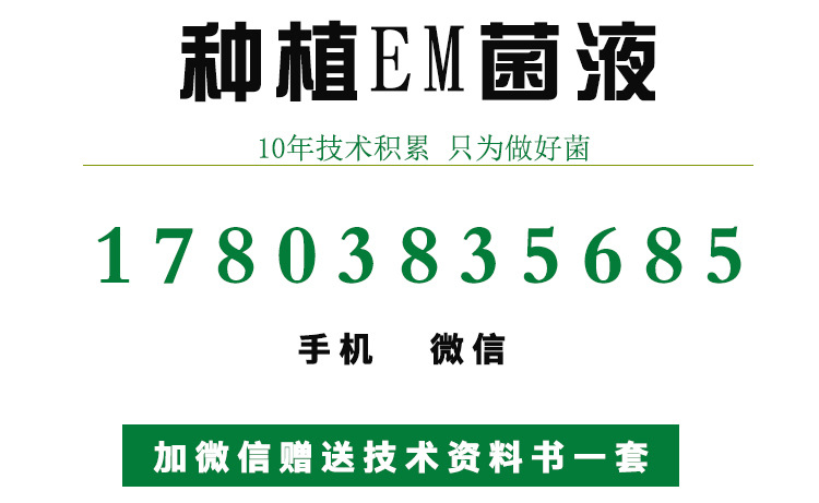 水果益生菌