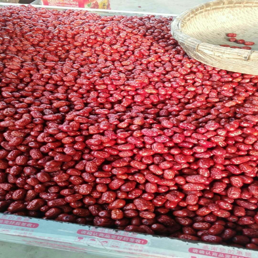 厂家批发沧州金丝小枣干枣 自然晒干红枣 包种子煮粥 五斤包邮