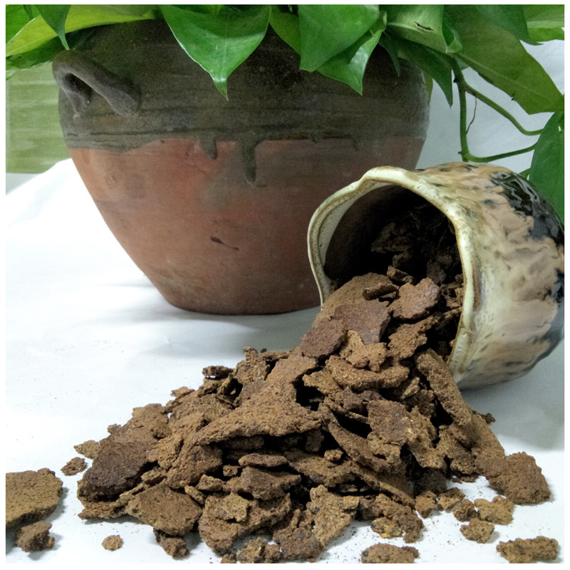茶枯饼片茶麸饼茶子粕第一道油茶压榨养发馆中药粉原料清塘油仔渣