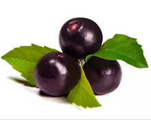 巴西莓果粉10:1 阿萨伊果粉 无添加全水溶 国内含税运