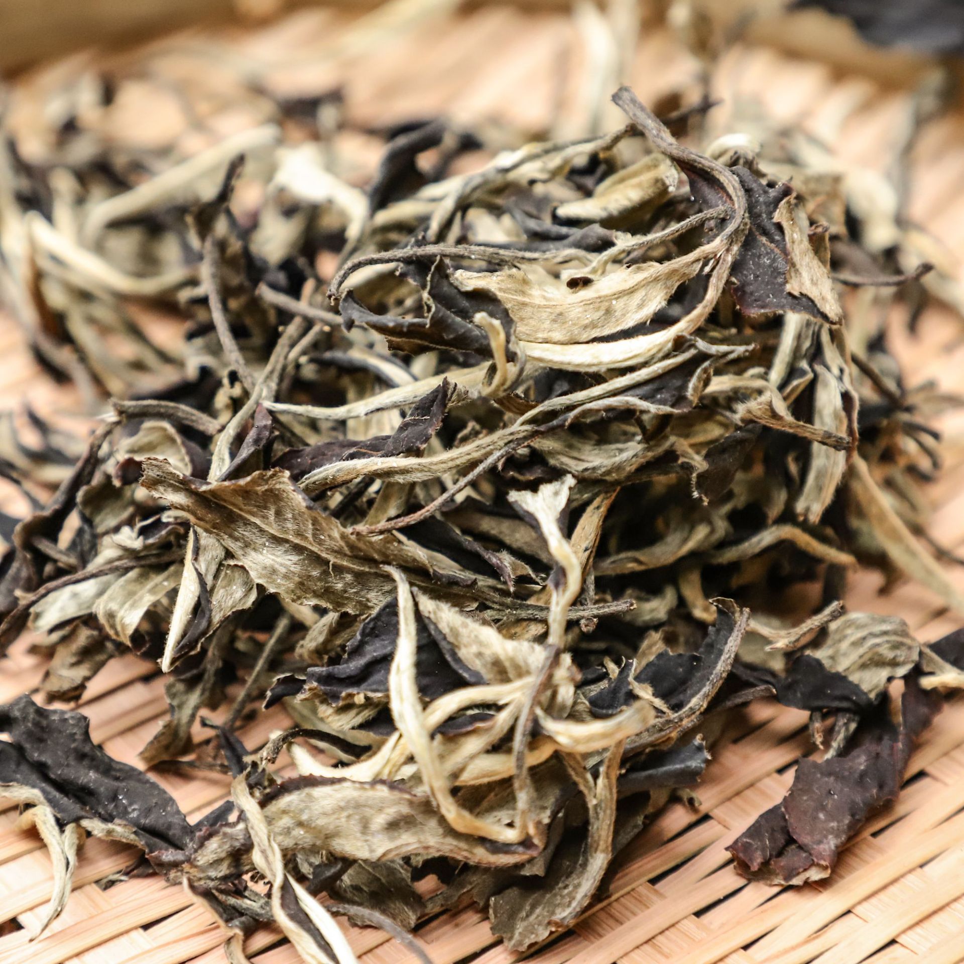 月光白批发 2014年景谷古树月光白茶 陈年老普洱白茶 私藏茶品