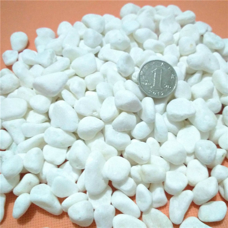 白色石子 白石子 水磨石专用白色碎石子 白色砾石 白色鹅卵石