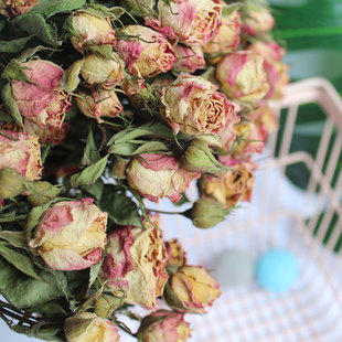 新品天然风干多头玫瑰干花蔷薇小玫瑰家居装饰拍照道具花束原材料