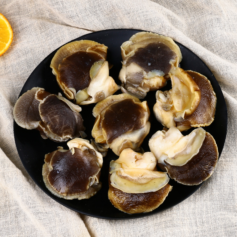 连云港海鲜批发猫眼螺肉新鲜香螺肉野生大沙螺大香螺肚脐螺贝类