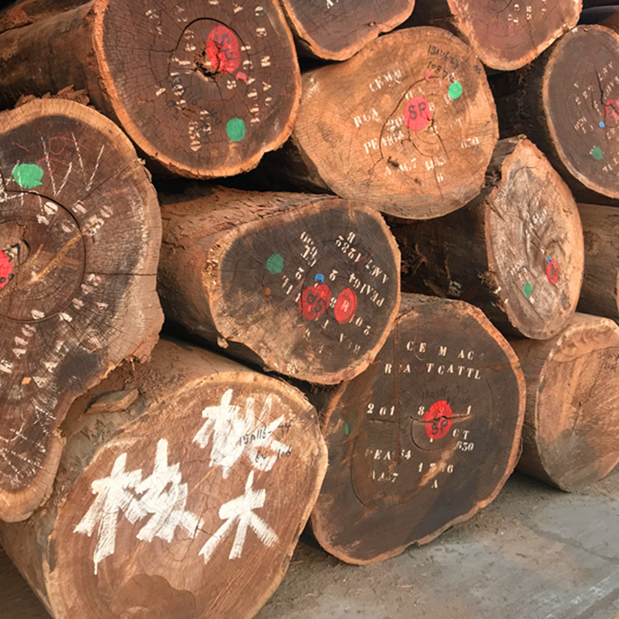 大量核桃木原木 黑胡桃板材 人面子家具地板工艺品旋切刨切木材