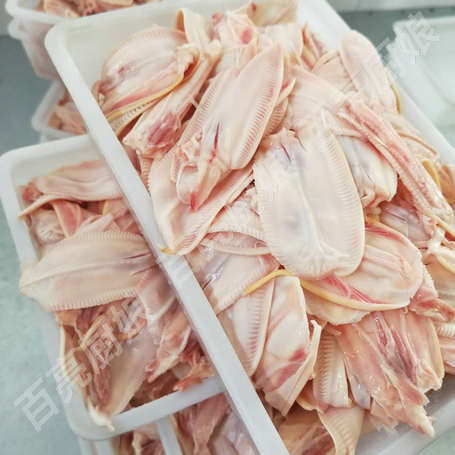 【百亮工厂】批发新鲜冷冻鸭唇 1斤/袋鸭嘴巴 火锅食材冷冻鸭唇