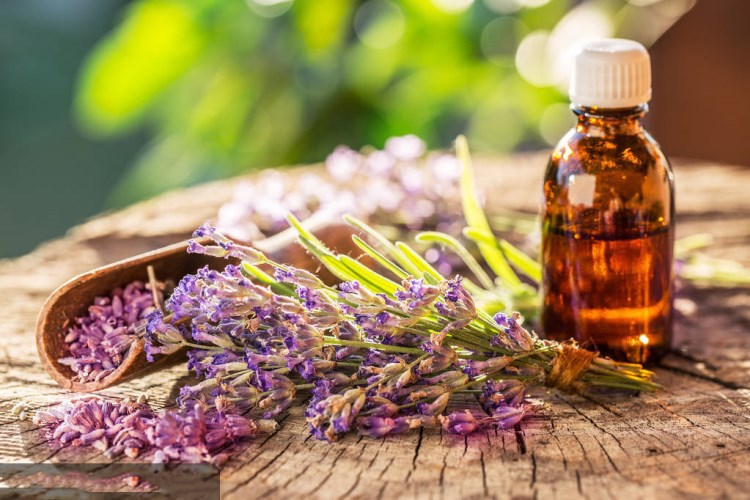 薰衣草精油1000ml香薰手工皂熏衣草精油原料批发单方精油量大从优