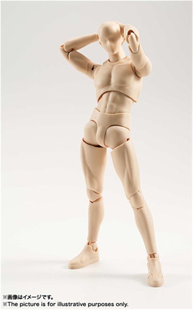 公仔模型 shf iguarts 肌肤色 男女素体 男性女性 模型可动公仔