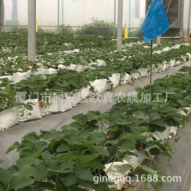 厂家基质种植用黑白袋无土栽培pe袋 35*