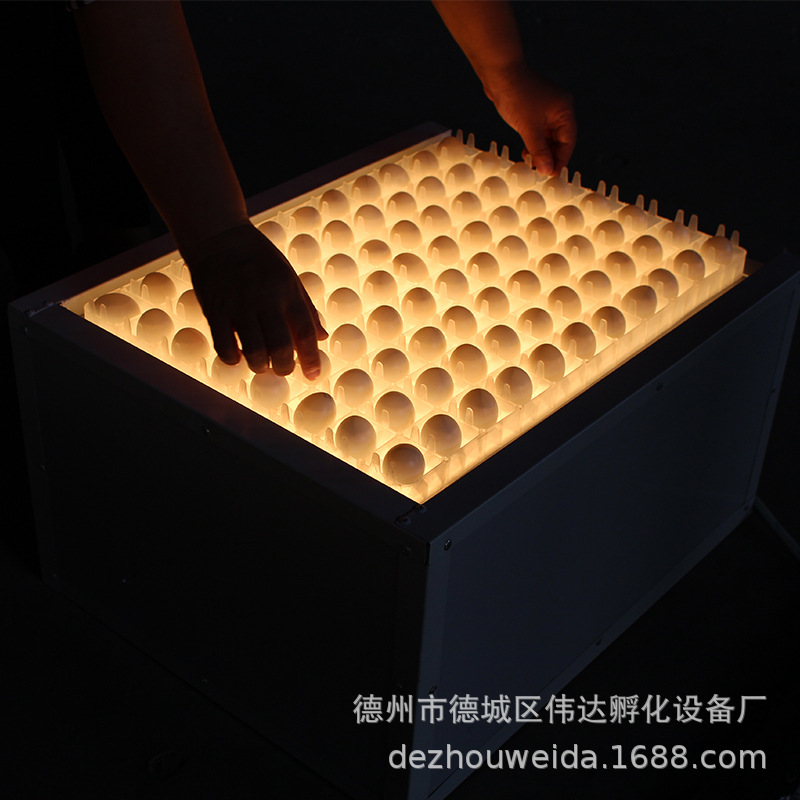 照蛋箱 照蛋器 孵化机专用鸡蛋种蛋检查设备工具led冷光照蛋器