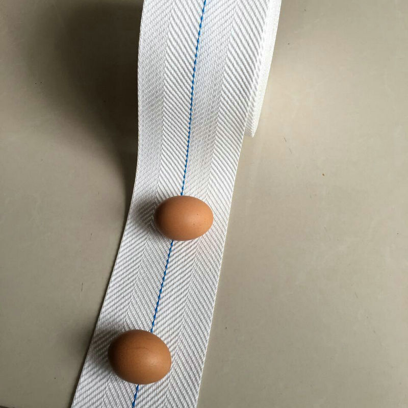 厂家供应鸡蛋捡蛋带 集蛋收蛋机配件织带 集蛋输送鸡蛋带批发