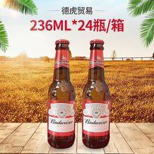 236ml*24玻璃瓶箱装啤酒百威 budweiser 百威小啤酒饮料