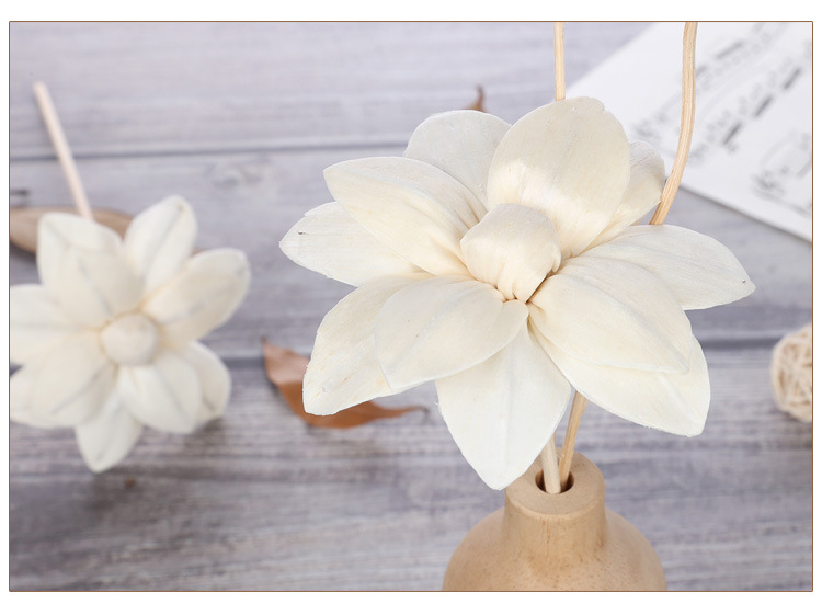 香薰通草花 香薰配件 香薰干花藤条通草花仿真花 厂家批发可定做