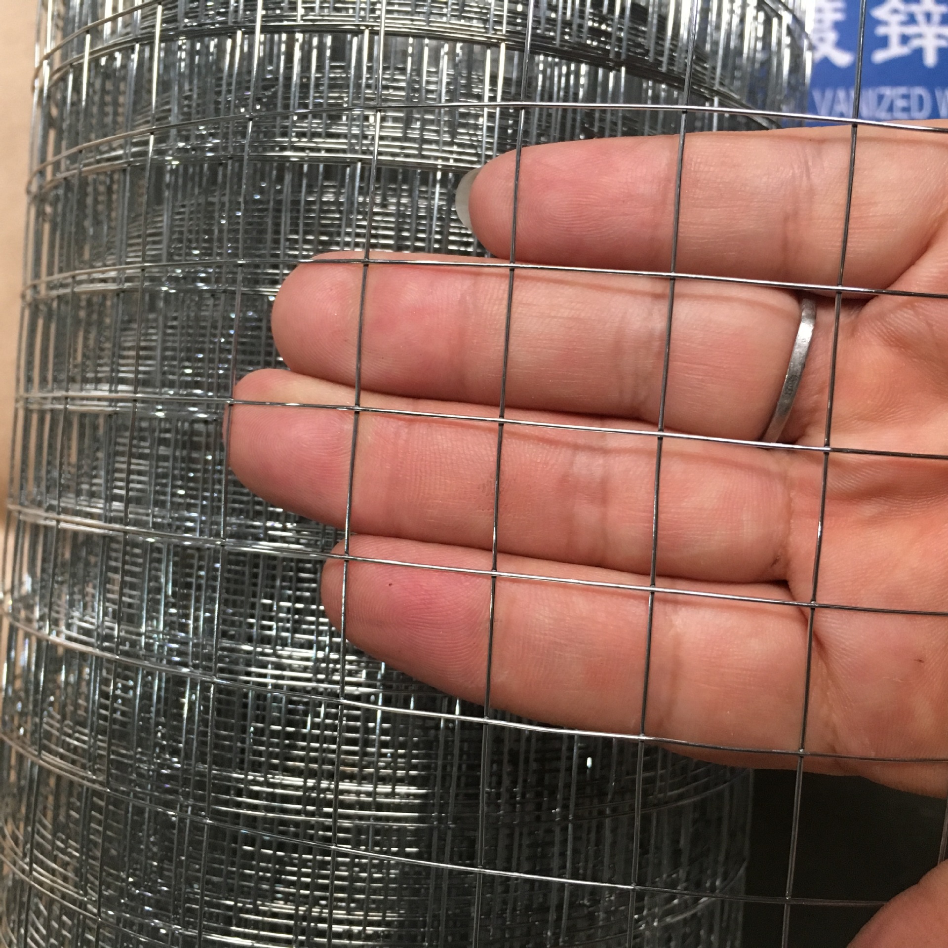 生产镀锌电焊网 抹墙网 电焊网片 电焊网卷