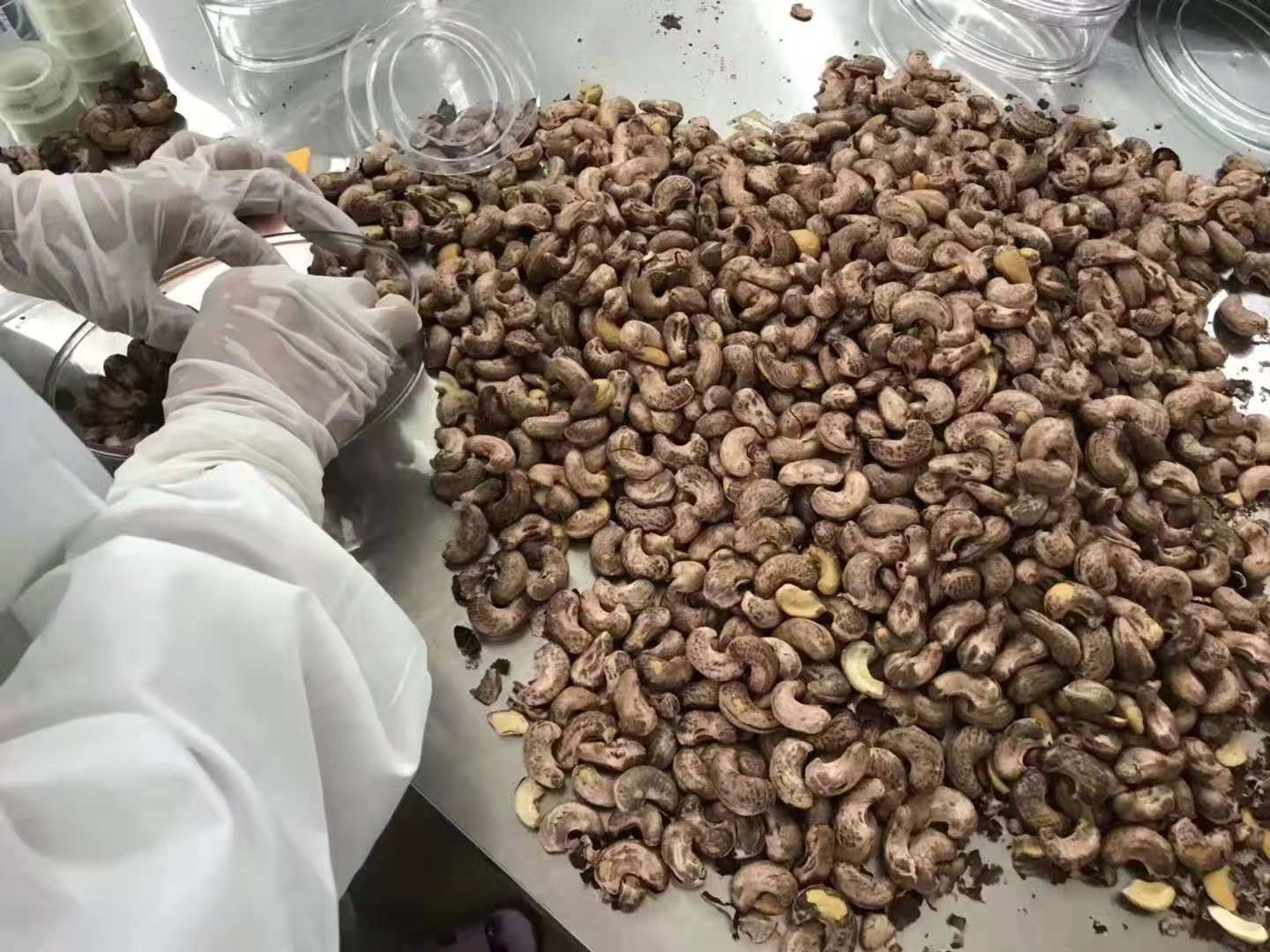 腰果特产平阳八婆一级美味腰果410g规格40瓶/箱批发