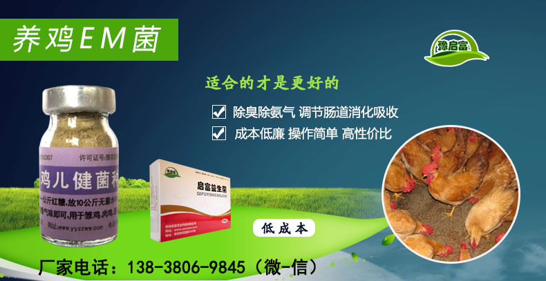 养鸡em菌种