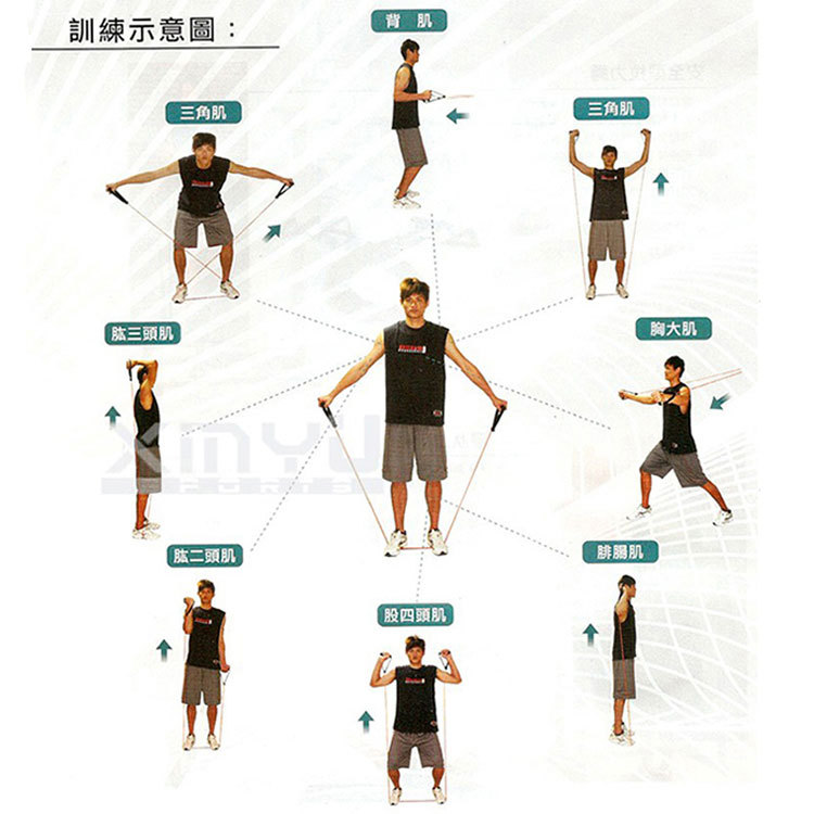 一字拉力绳弹力绳乳胶拉力器 臂力扩胸器室内运动健身瑜伽拉力绳