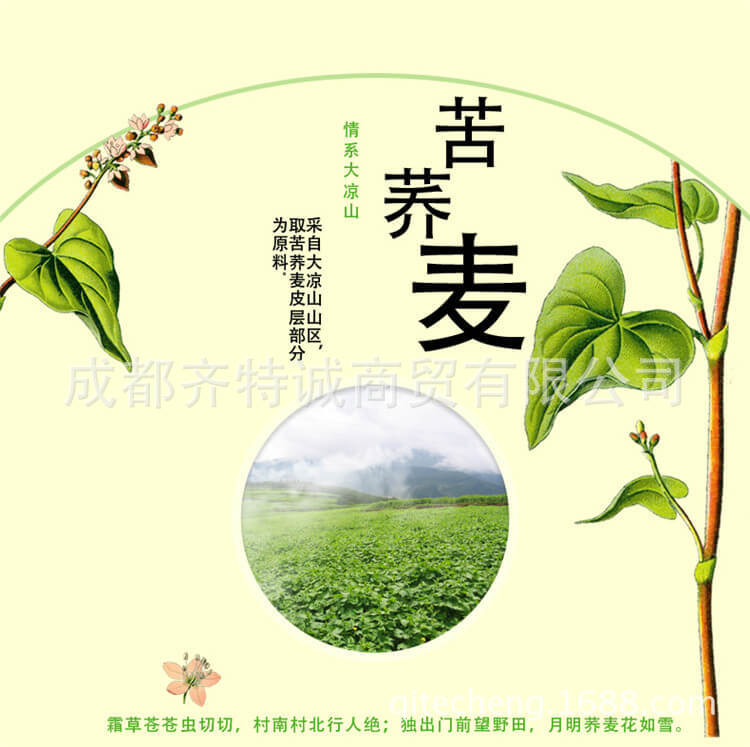三匠 黄苦荞茶120克盒装约24小袋 四川大凉山荞麦茶花草