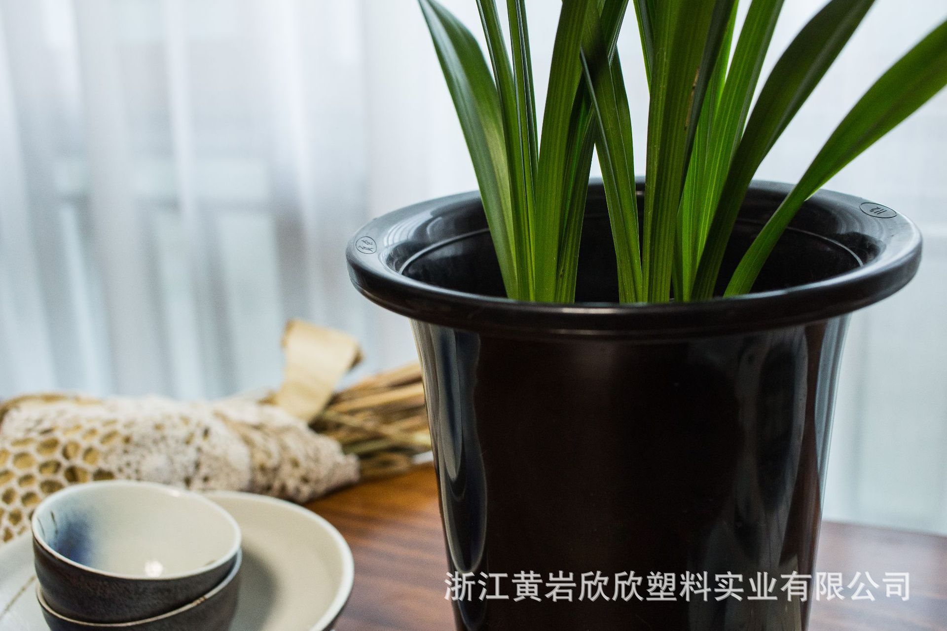 3厘米兰花塑料盆