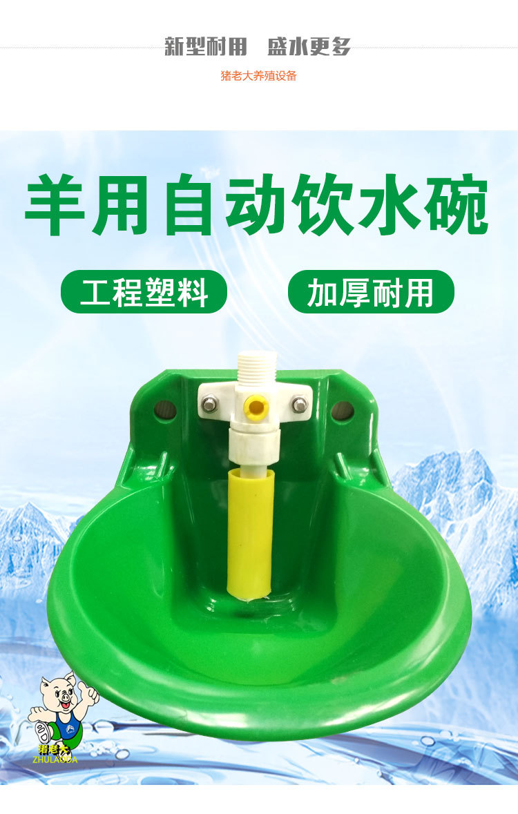 羊饮水碗 羊用自动饮水碗 羊饮水器猪牛羊喝水碗养羊设备