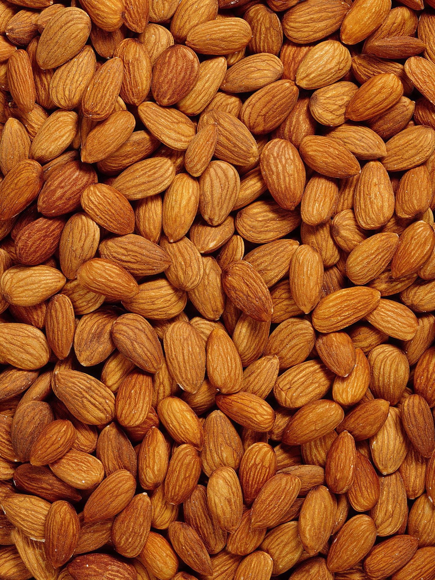 杏仁交易网加盟_杏仁交易网品牌_杏仁交易网代理,当前第页-杏仁交易网