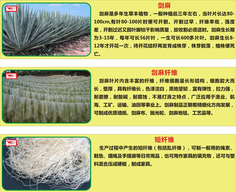 供应非洲坦桑尼亚【剑麻纤维提取机】(伟金)牌,厂家直销产品
