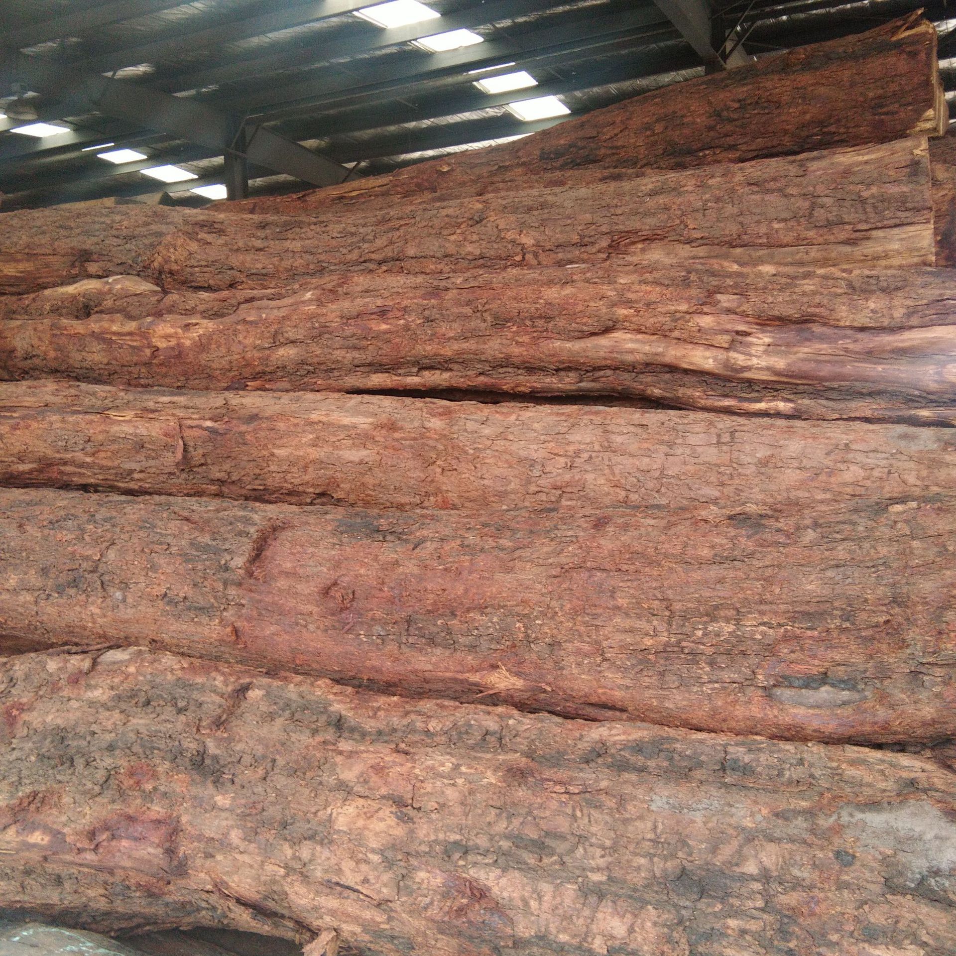 张家港原木 非洲 黄花梨 非洲黄檀 紫蝴蝶 价格优惠