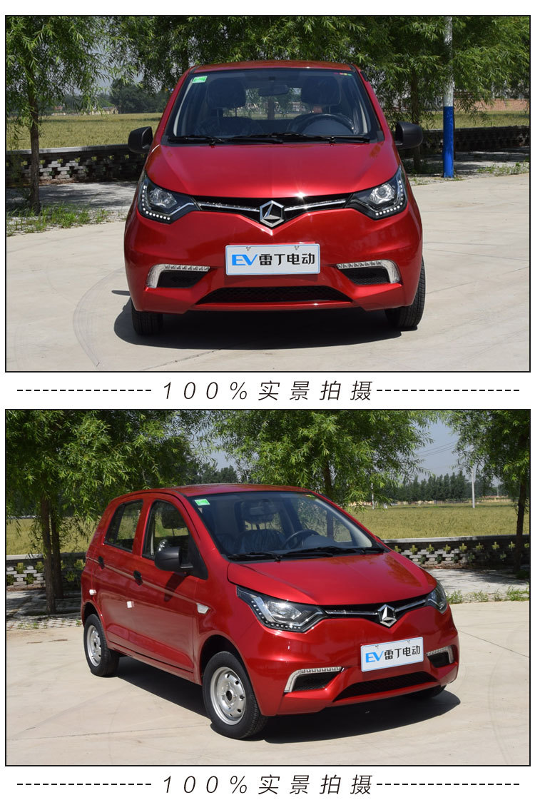 雷丁d70电动四轮车成人电动汽车轿车油电两用代步车新能源观光车
