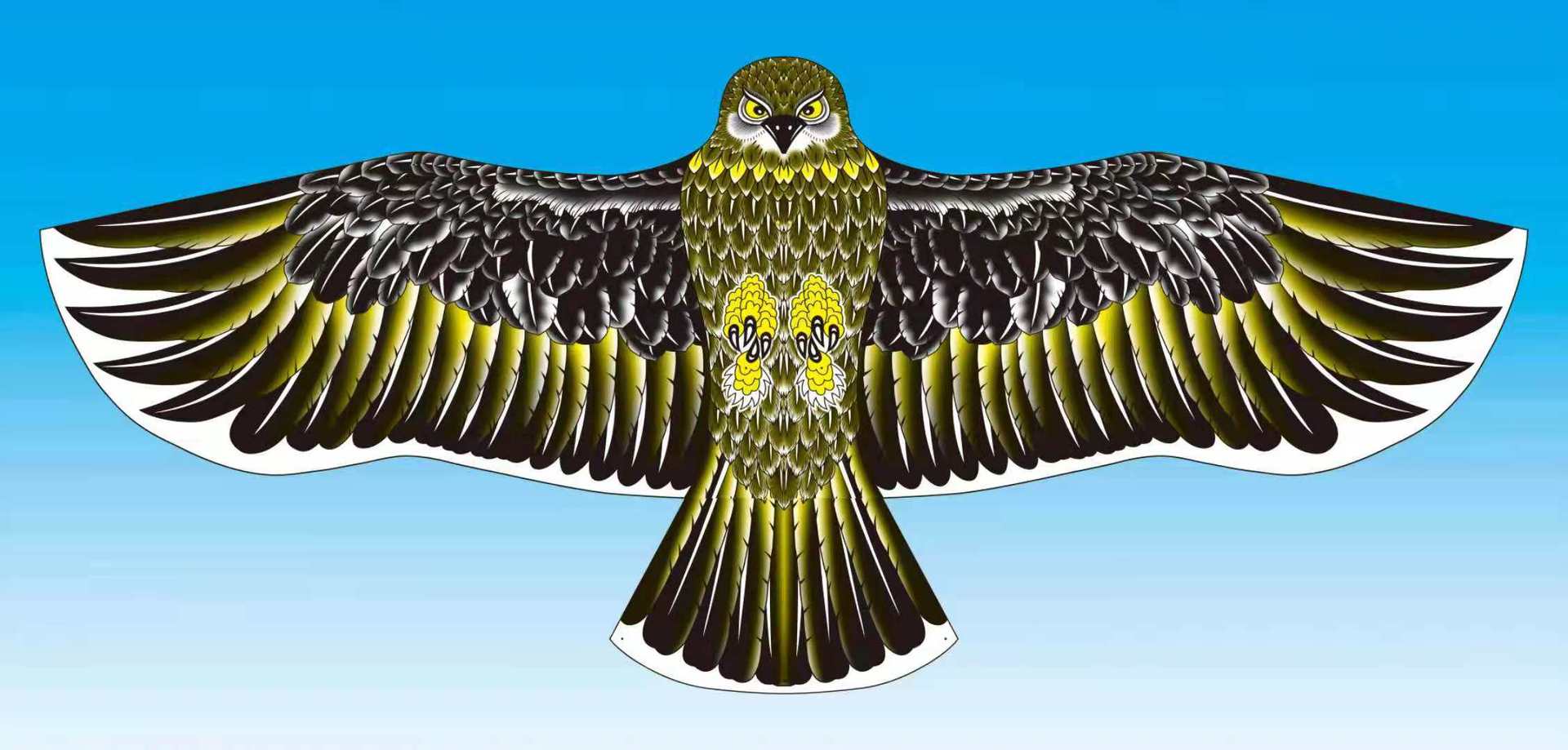 潍坊平面鹰风筝规格多种前杆风兜儿童风筝好飞厂家批发