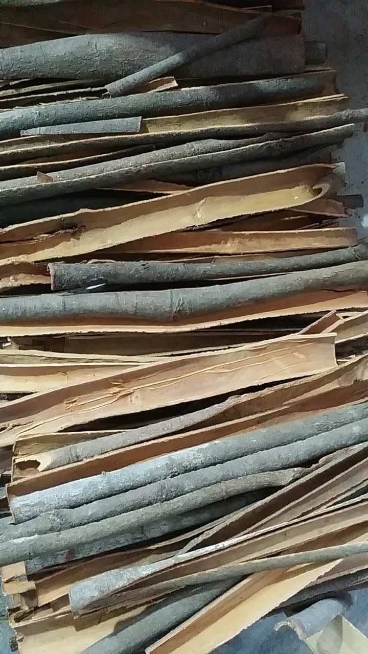 长期供应,优质出口级桂皮,桂树皮,出口桂皮
