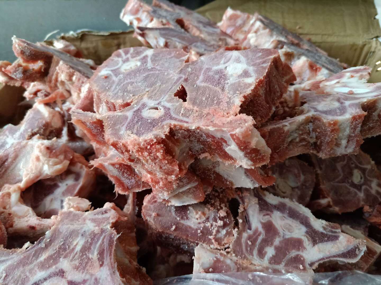 精选内蒙古羔羊蝎子冷冻羊脊骨肉多10kg/箱整件出售